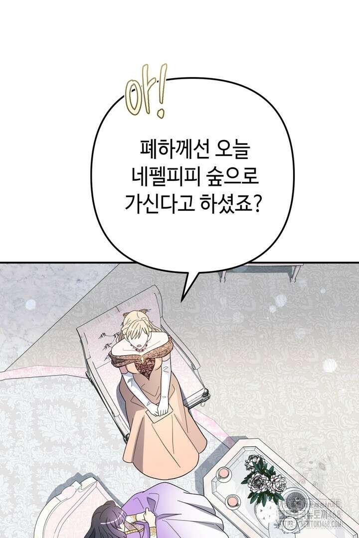 몰락한 왕녀에게는 회귀가 필요합니다 40화 12