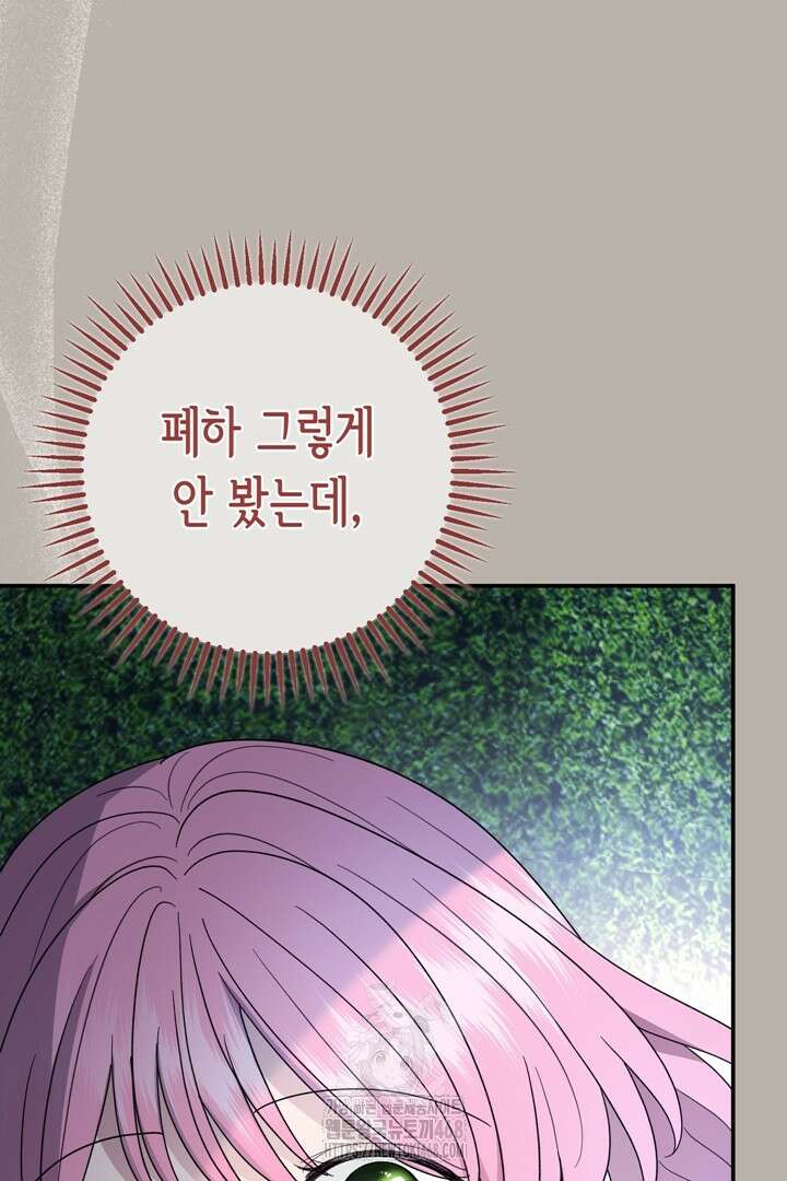 몰락한 왕녀에게는 회귀가 필요합니다 40화 65