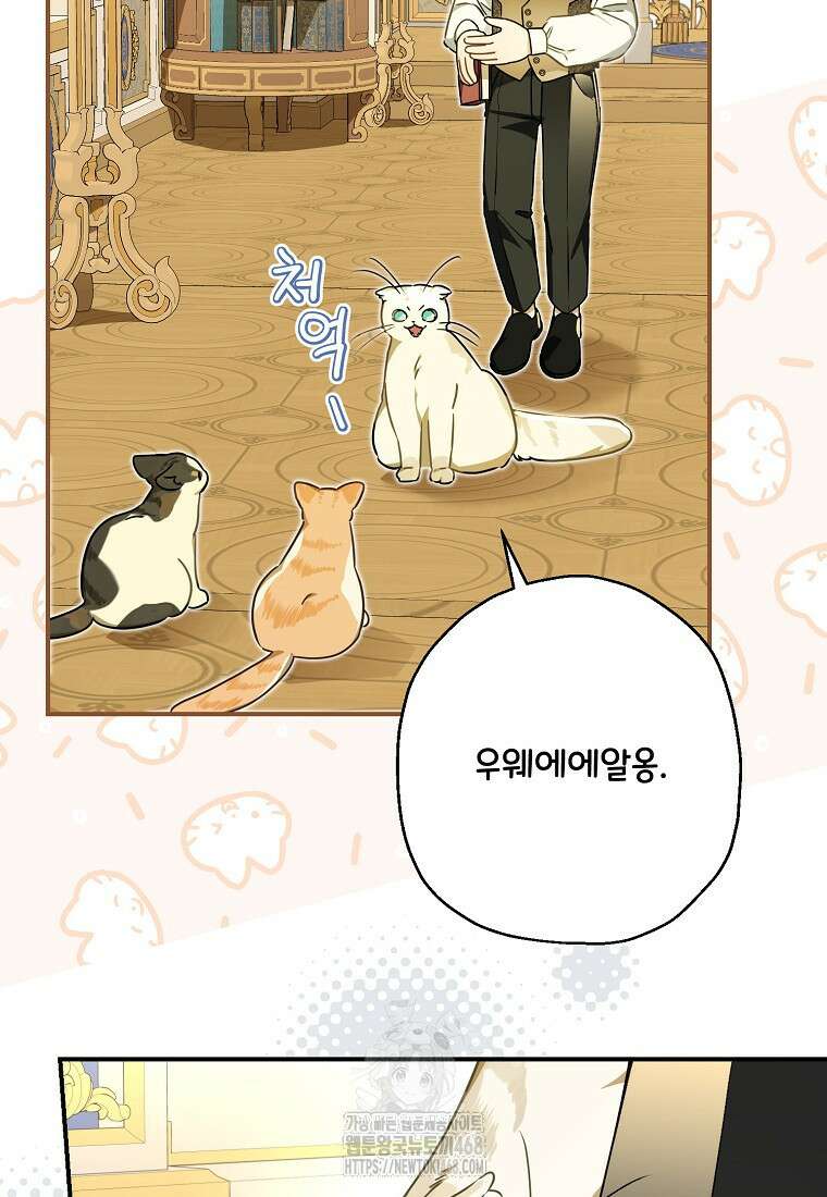 백작가의 사생아가 결혼하면 114화 12