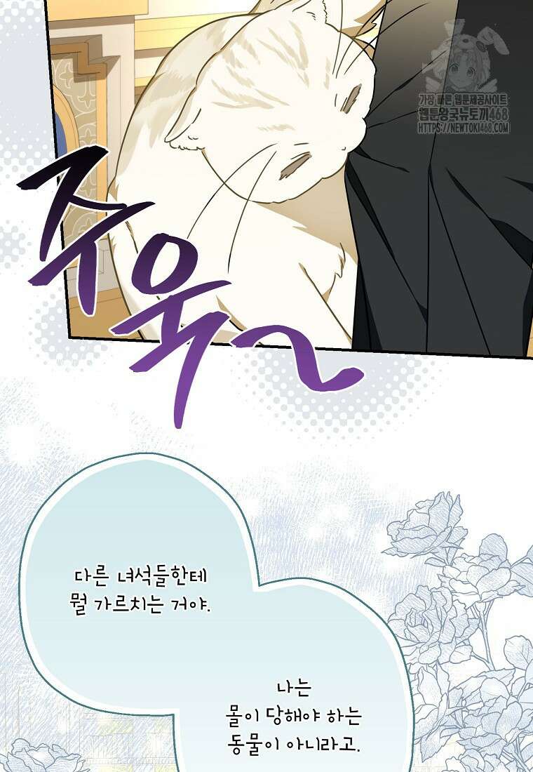 백작가의 사생아가 결혼하면 114화 13