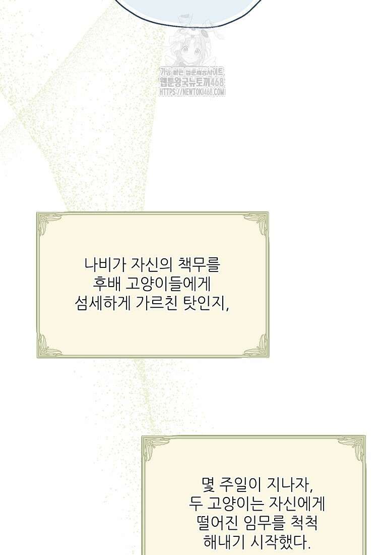 백작가의 사생아가 결혼하면 114화 17