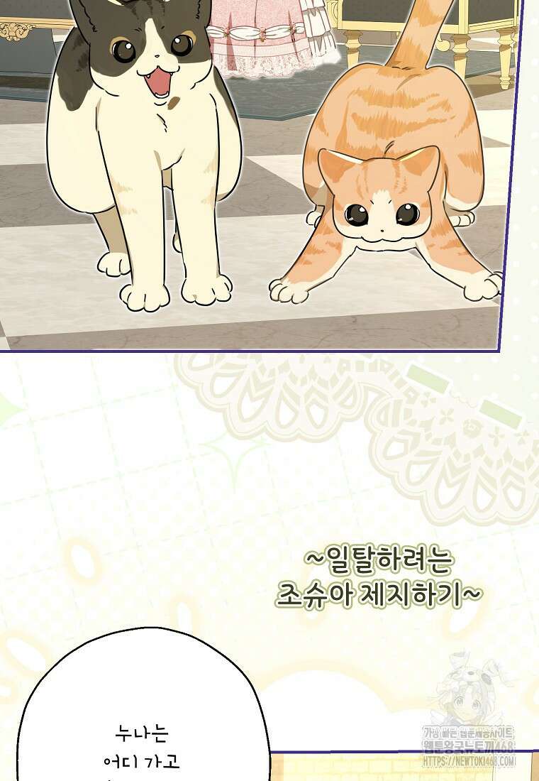 백작가의 사생아가 결혼하면 114화 19