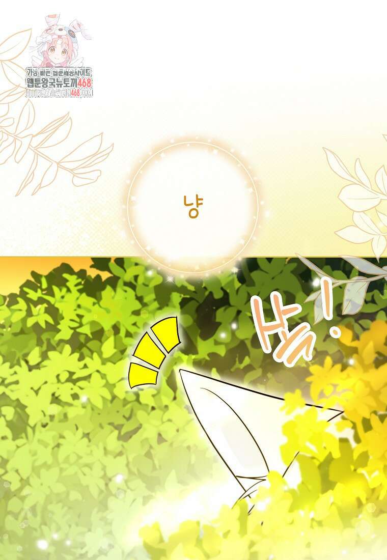 악역에 빙의했지만, 고양이나 키울래요 50화 1