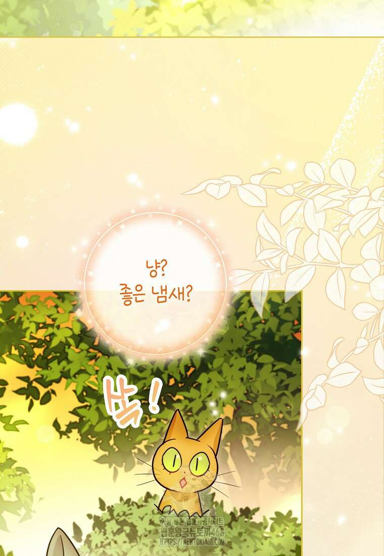 악역에 빙의했지만, 고양이나 키울래요 50화 2