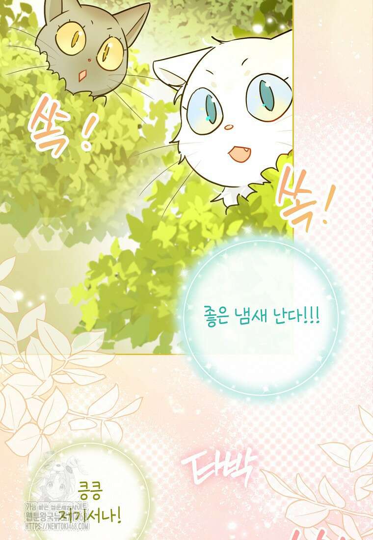 악역에 빙의했지만, 고양이나 키울래요 50화 3