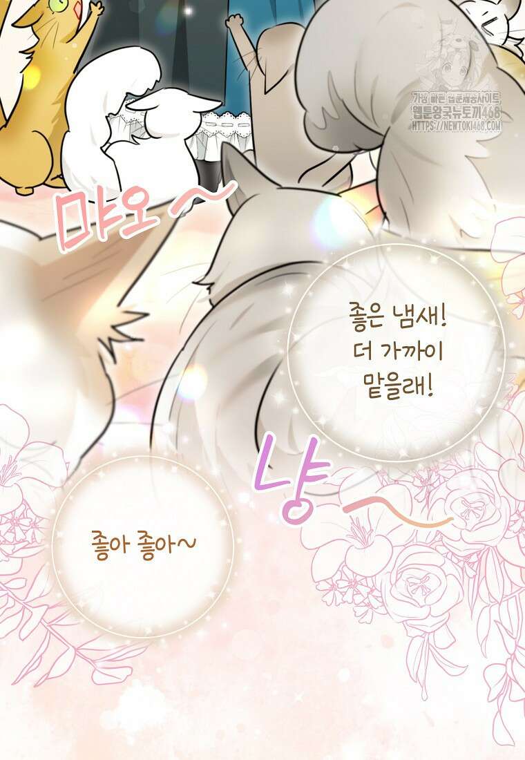 악역에 빙의했지만, 고양이나 키울래요 50화 6