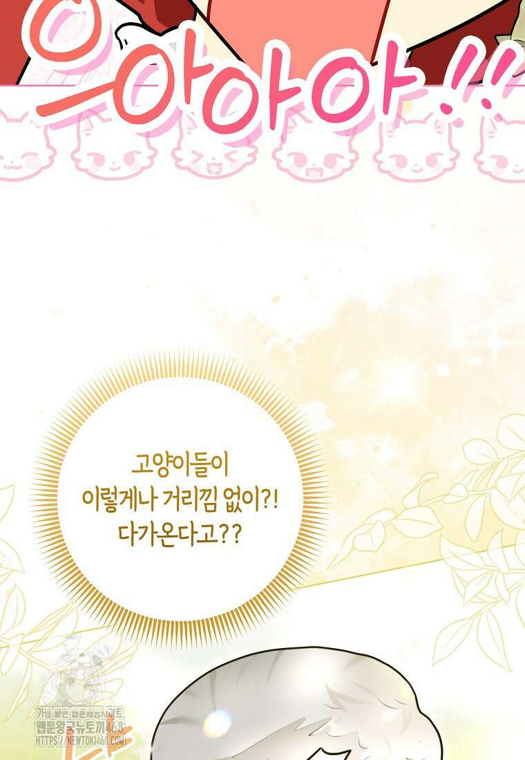 악역에 빙의했지만, 고양이나 키울래요 50화 8