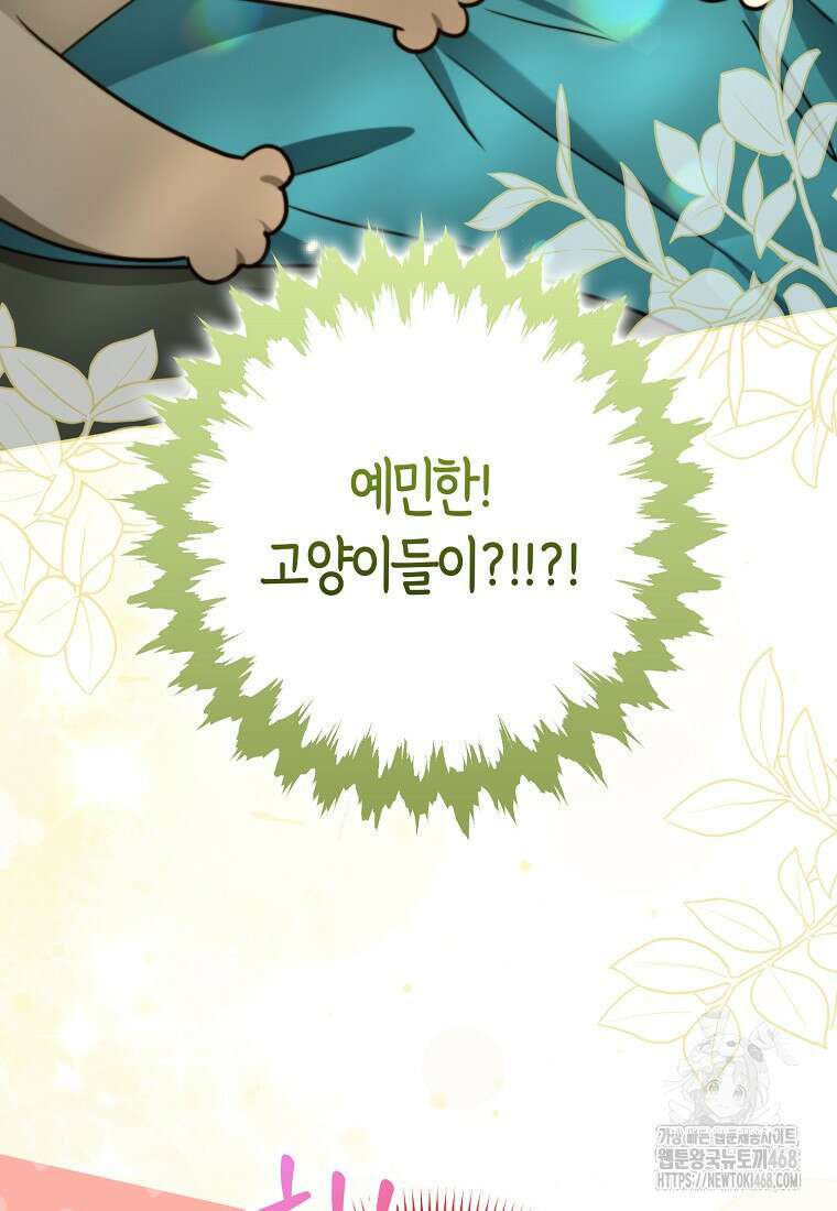 악역에 빙의했지만, 고양이나 키울래요 50화 10