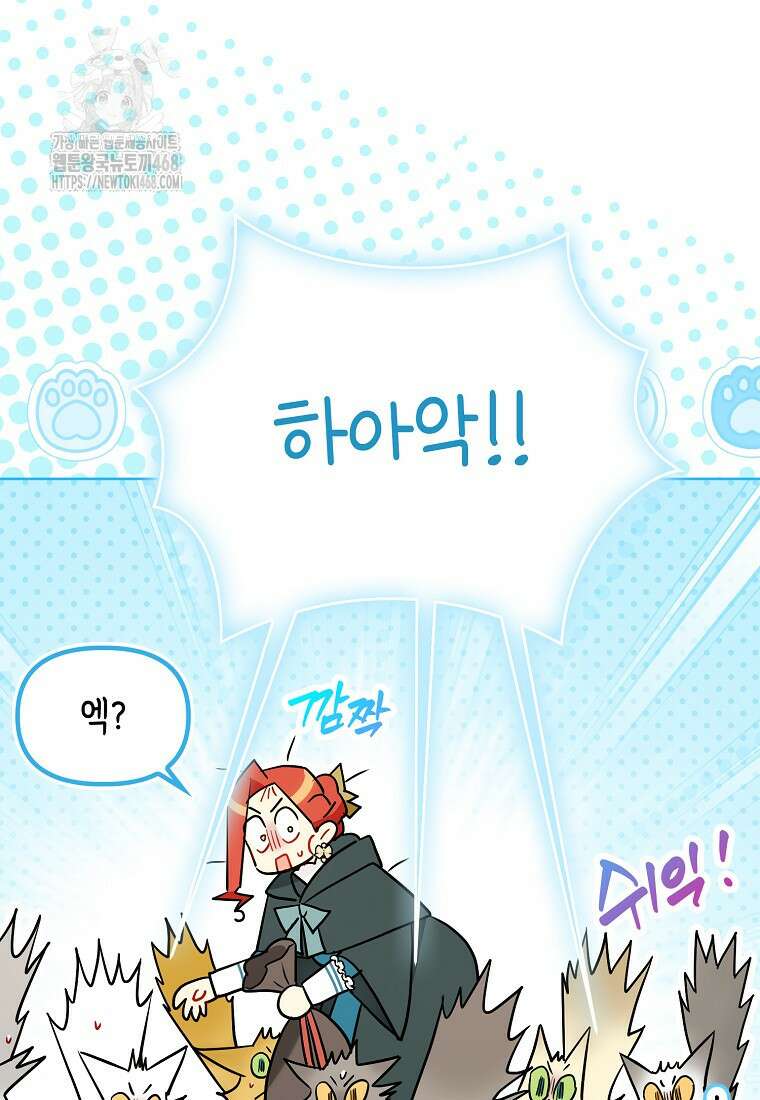 악역에 빙의했지만, 고양이나 키울래요 50화 13