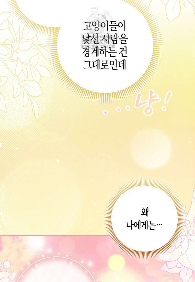 악역에 빙의했지만, 고양이나 키울래요 50화 17