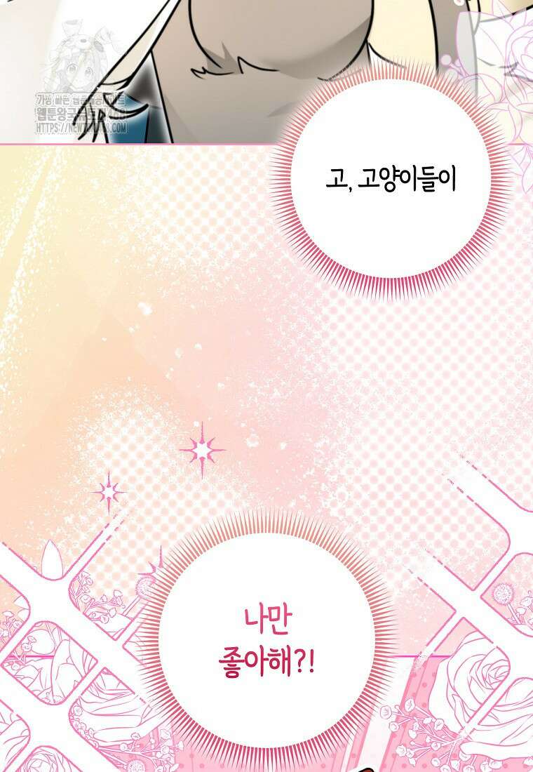 악역에 빙의했지만, 고양이나 키울래요 50화 19