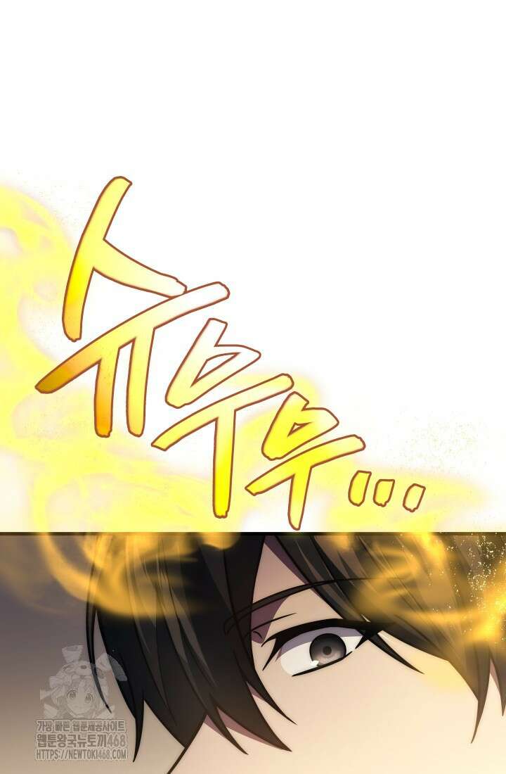 2레벨로 회귀한 무신 100화 11