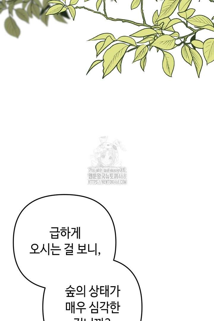 몰락한 왕녀에게는 회귀가 필요합니다 42화 5