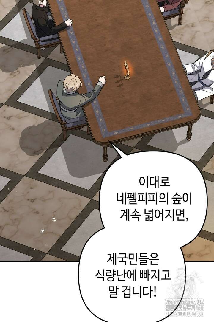 몰락한 왕녀에게는 회귀가 필요합니다 42화 16