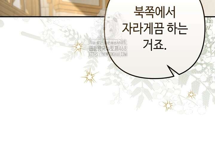몰락한 왕녀에게는 회귀가 필요합니다 42화 42