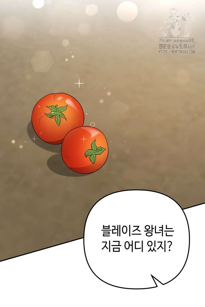 몰락한 왕녀에게는 회귀가 필요합니다 42화 52