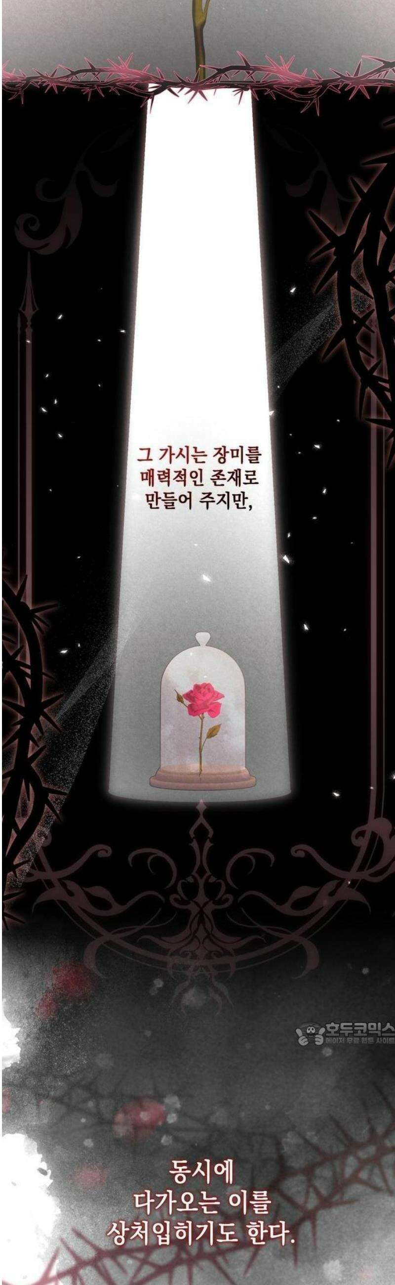 금빛 장미가 꺾인 그 자리엔 [프롤로그] 2