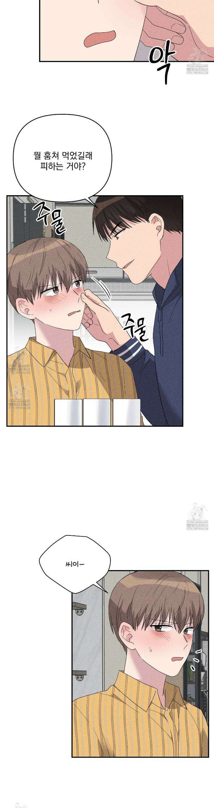 치치 시리즈 62화 12