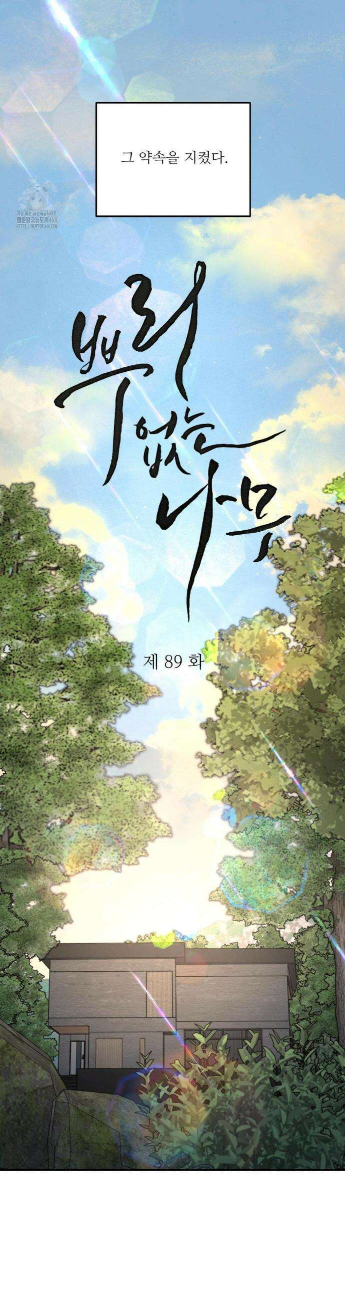 뿌리 없는 나무 89화 3