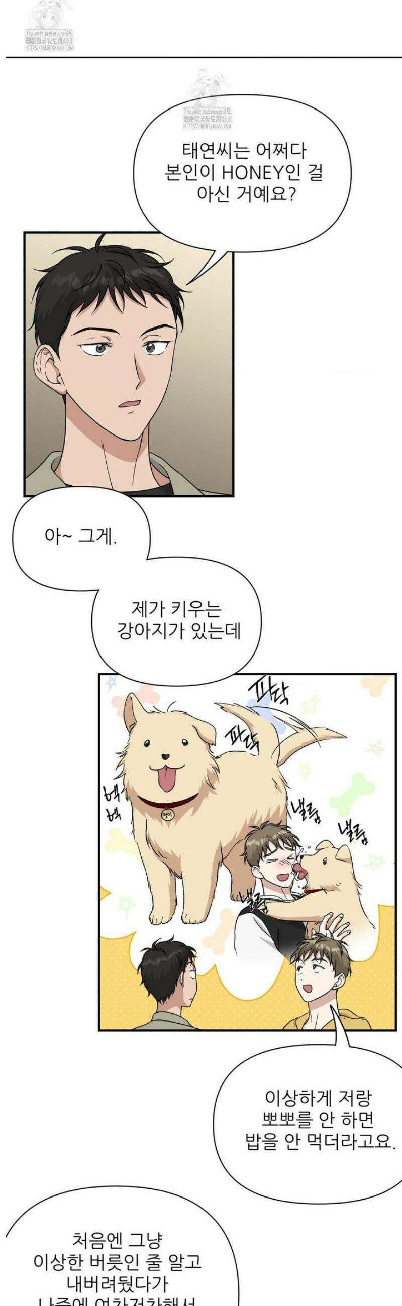 HONEYBEE (허니비) 20화 19