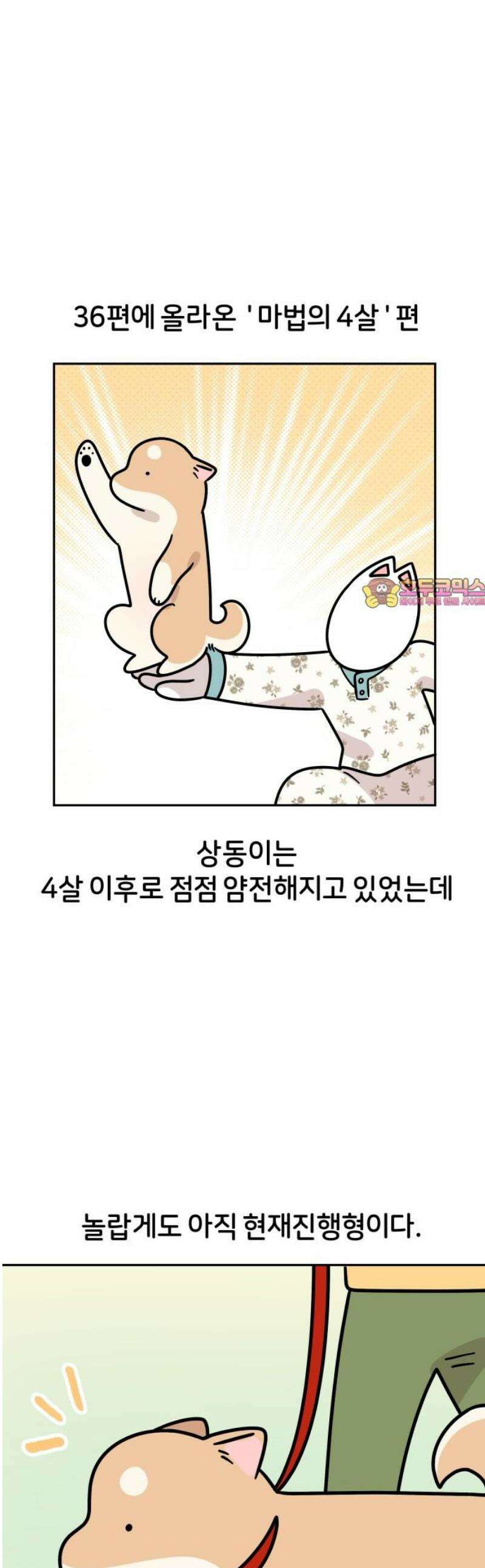 시바, 만만치 않다 54화 길거리 강아지들 1