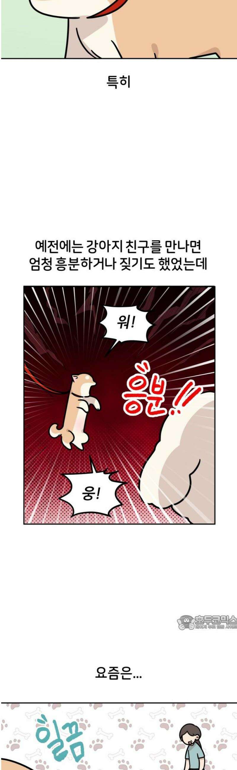 시바, 만만치 않다 54화 길거리 강아지들 2