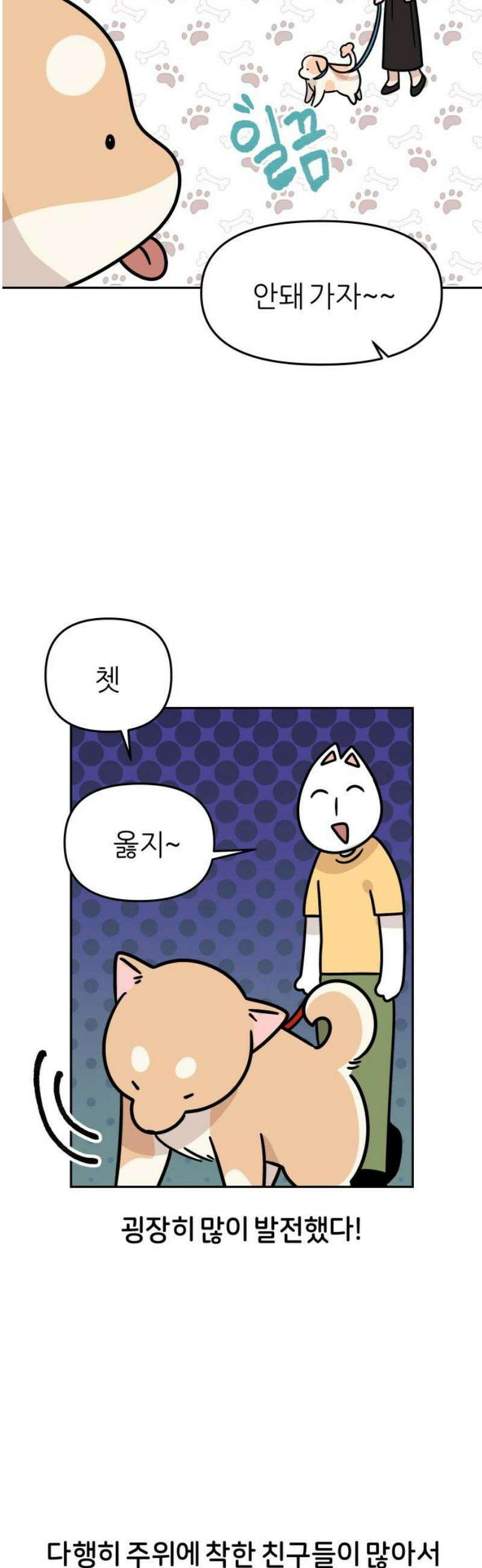 시바, 만만치 않다 54화 길거리 강아지들 3