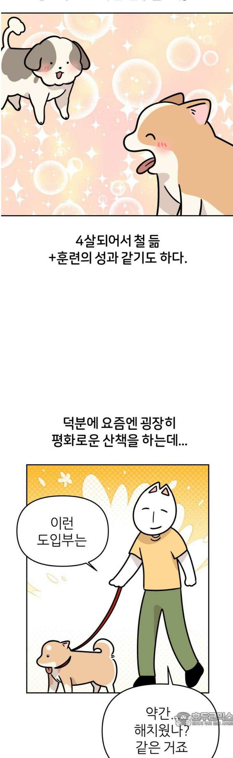 시바, 만만치 않다 54화 길거리 강아지들 4
