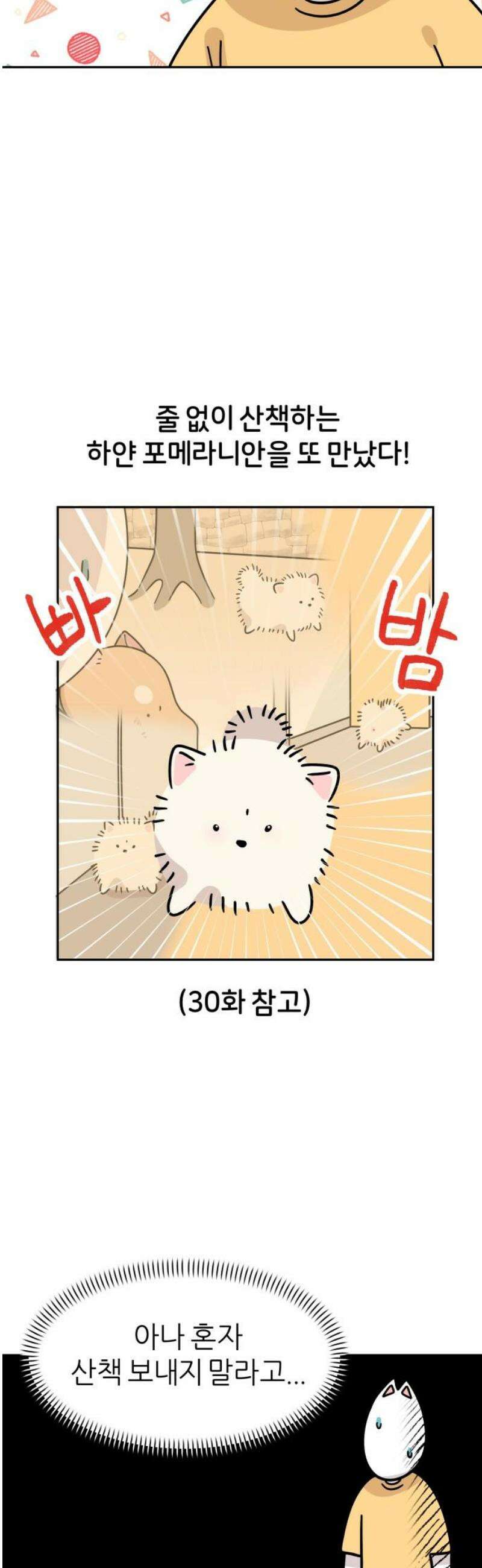 시바, 만만치 않다 54화 길거리 강아지들 6
