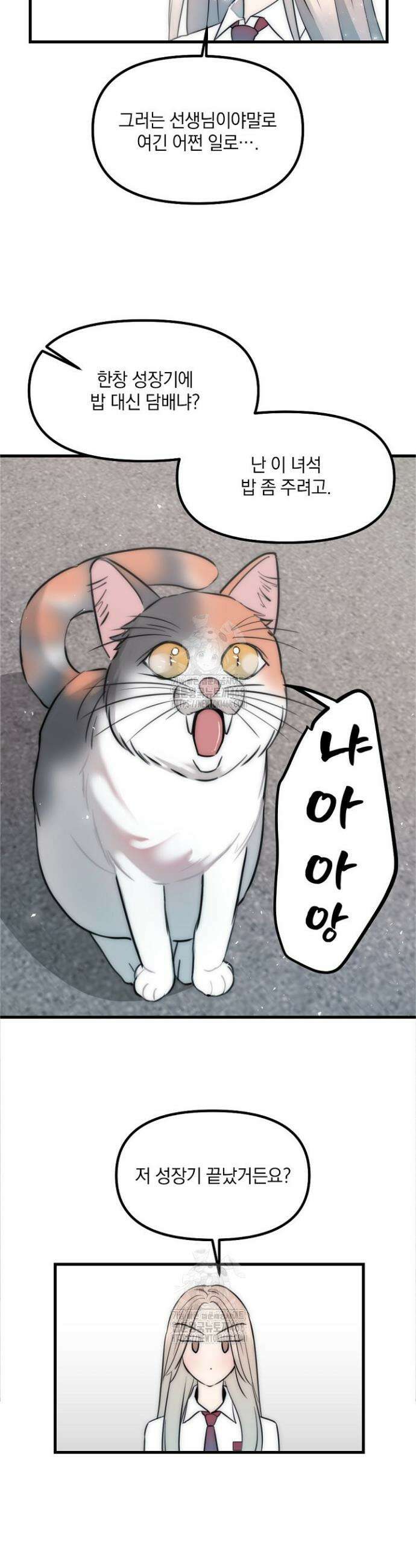 독 안에 든 선생님 5화 2