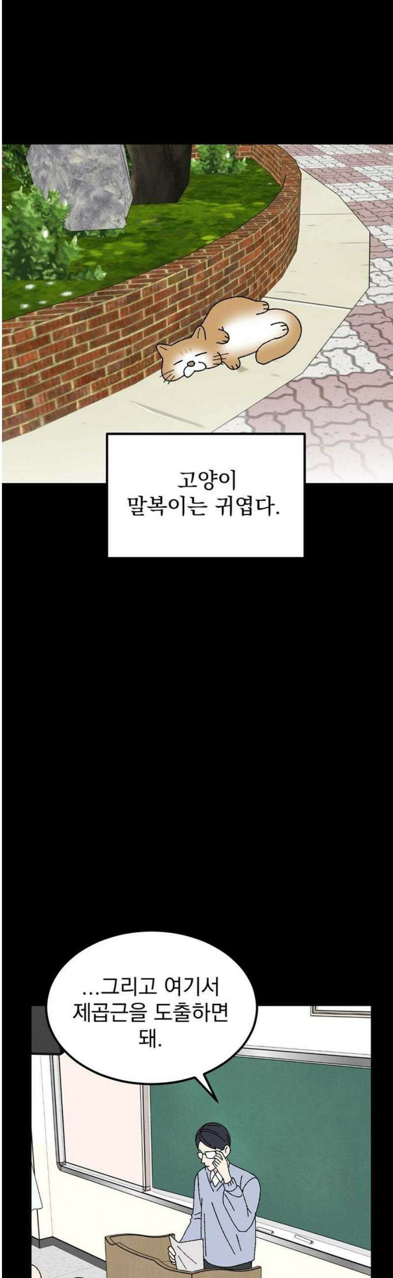 티라노 노경수 14크아앙 3