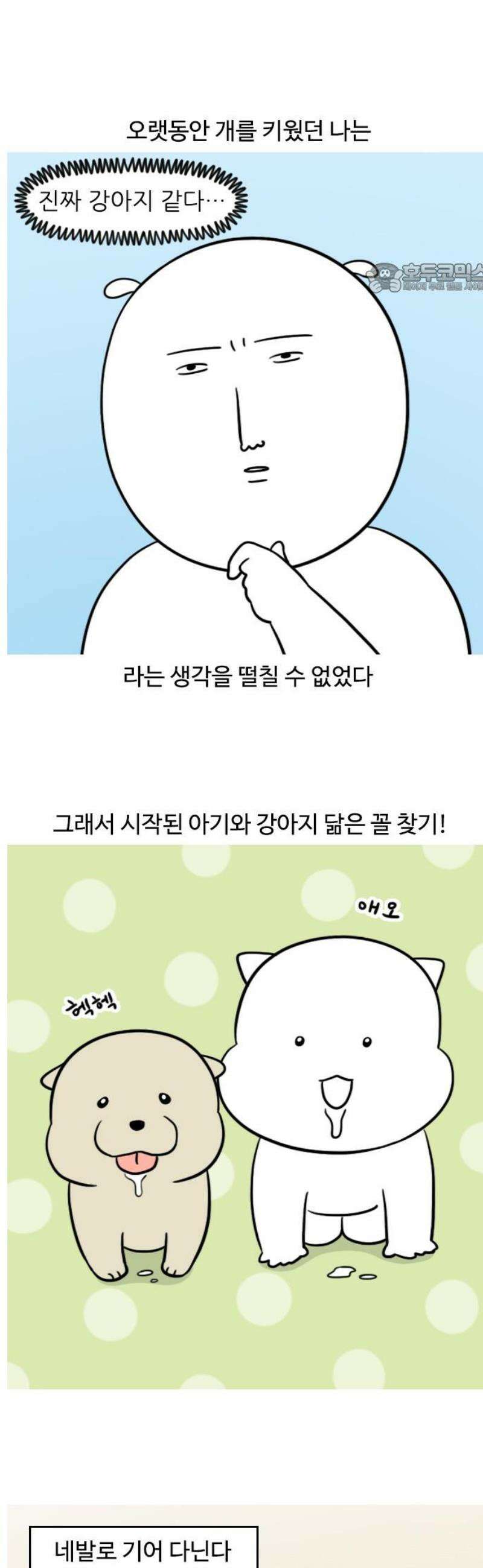 육아일기 시즌2 12화 강아지 모먼트 2
