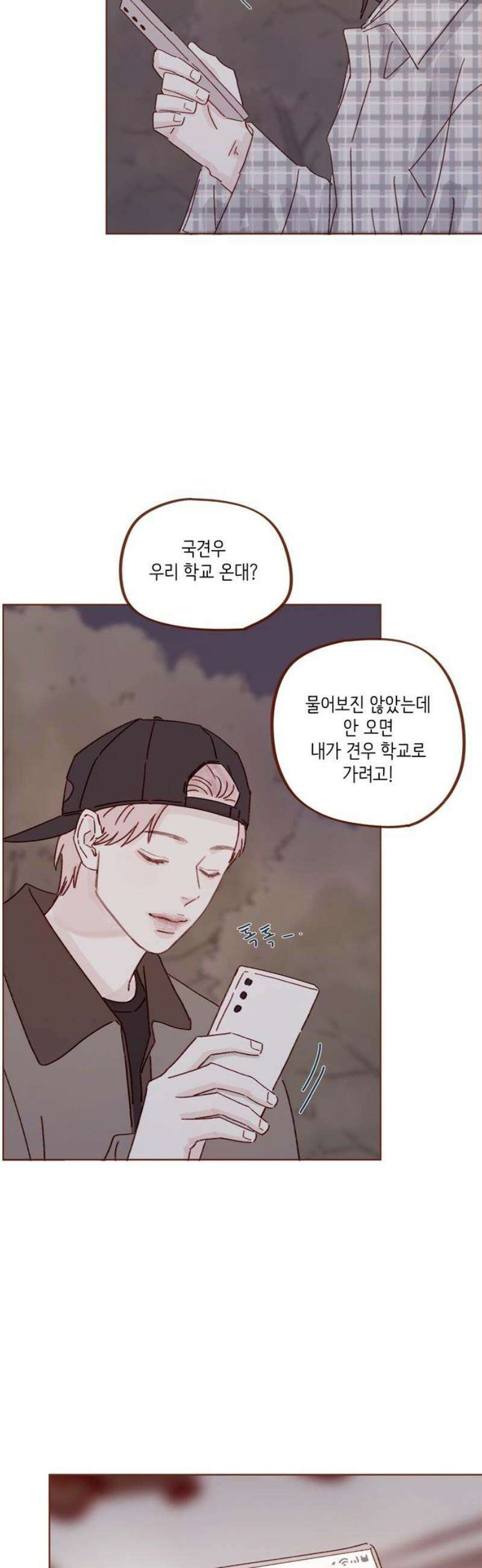 홍시는 날 좋아해 322화 : 너도 계속 나 지켜줘 12