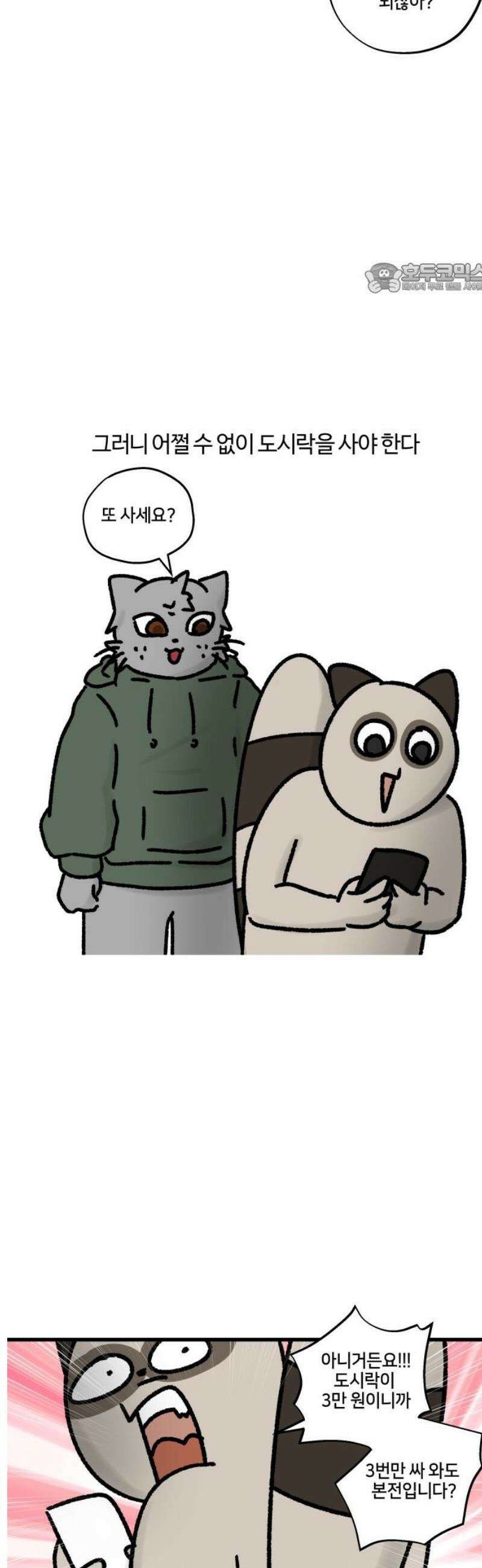 구야는 신입 97화 도시락을 싸자 2