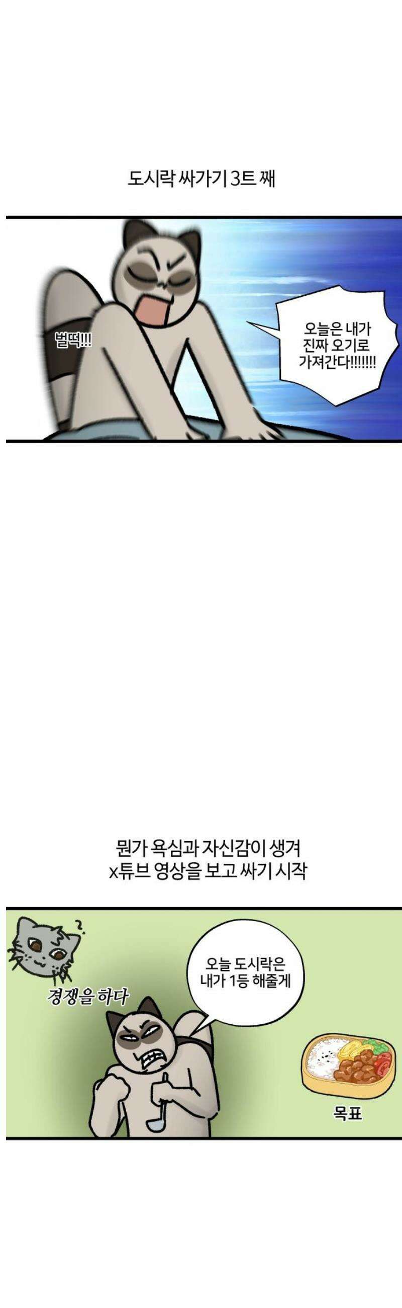 구야는 신입 97화 도시락을 싸자 9