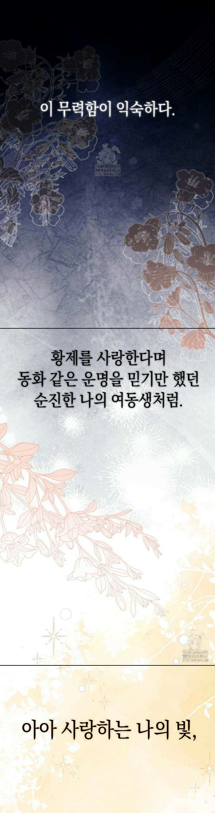 아내의 여동생과 결혼했다 57화 23