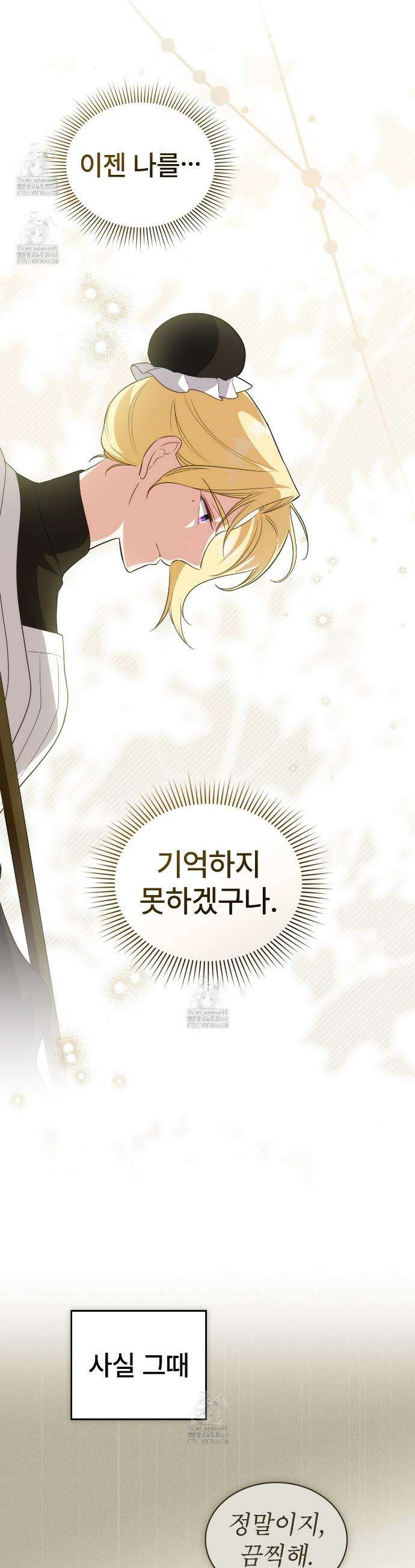 디에 멜루시네 66화 3