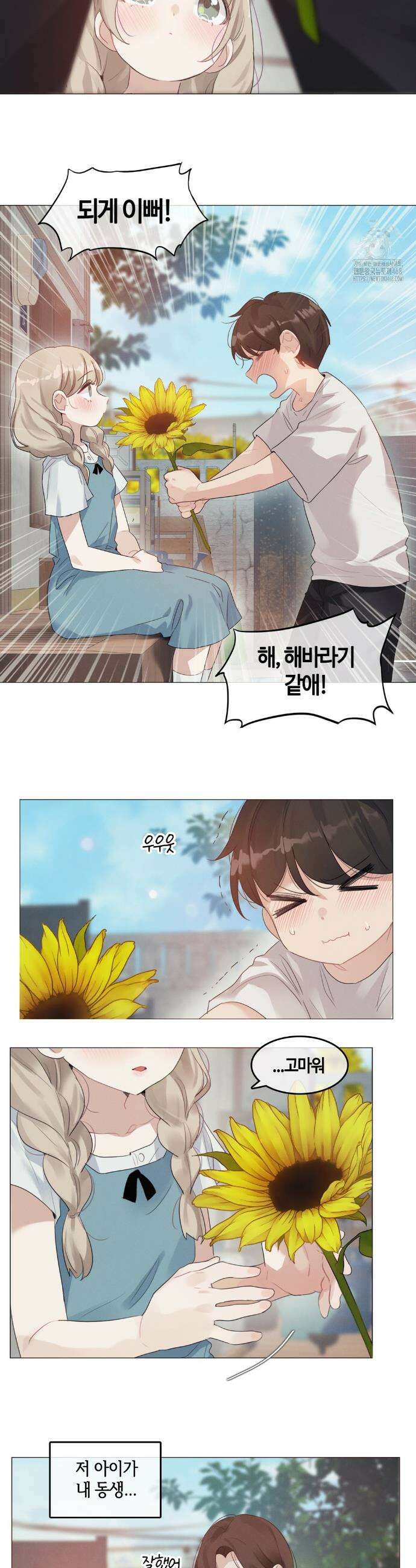 해바라기가 속삭이는 계절에 3화 4