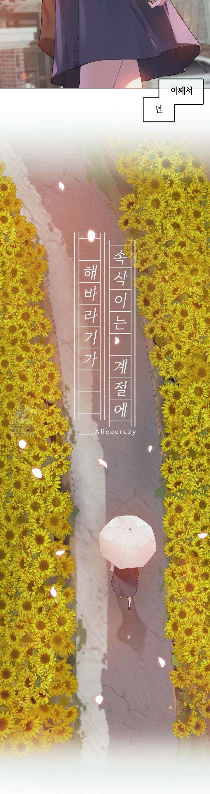 해바라기가 속삭이는 계절에 3화 10