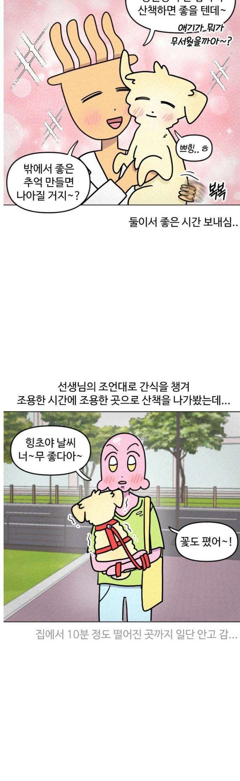 쌉초의 난 137화 산책 싫어 강아지2 3