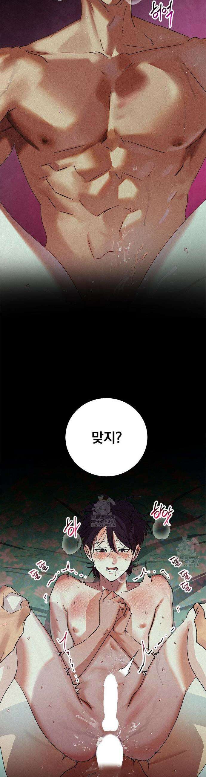 신결 5화 12