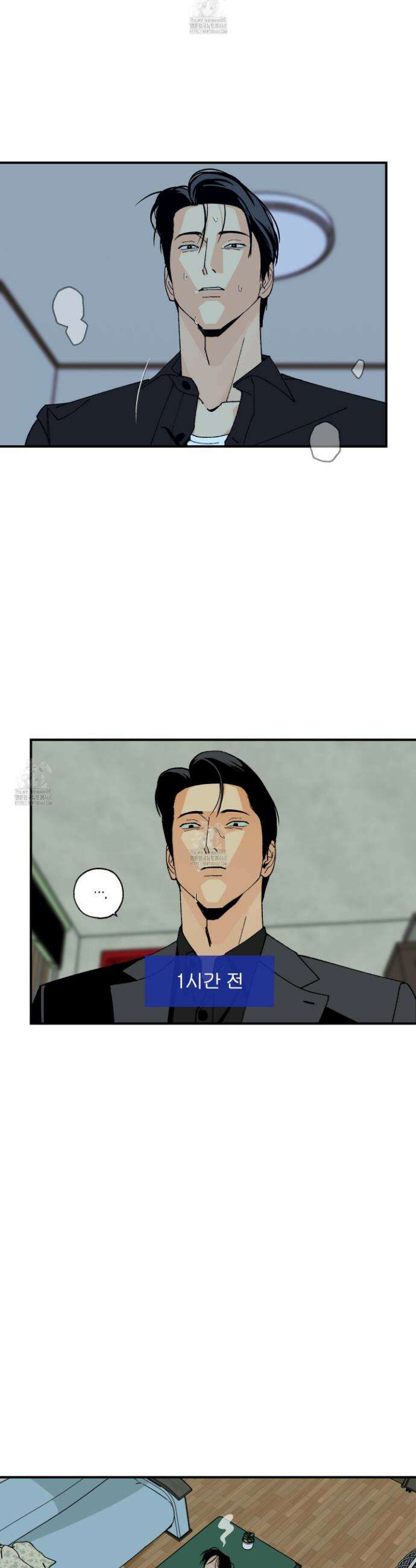 주의 평화 8화 5