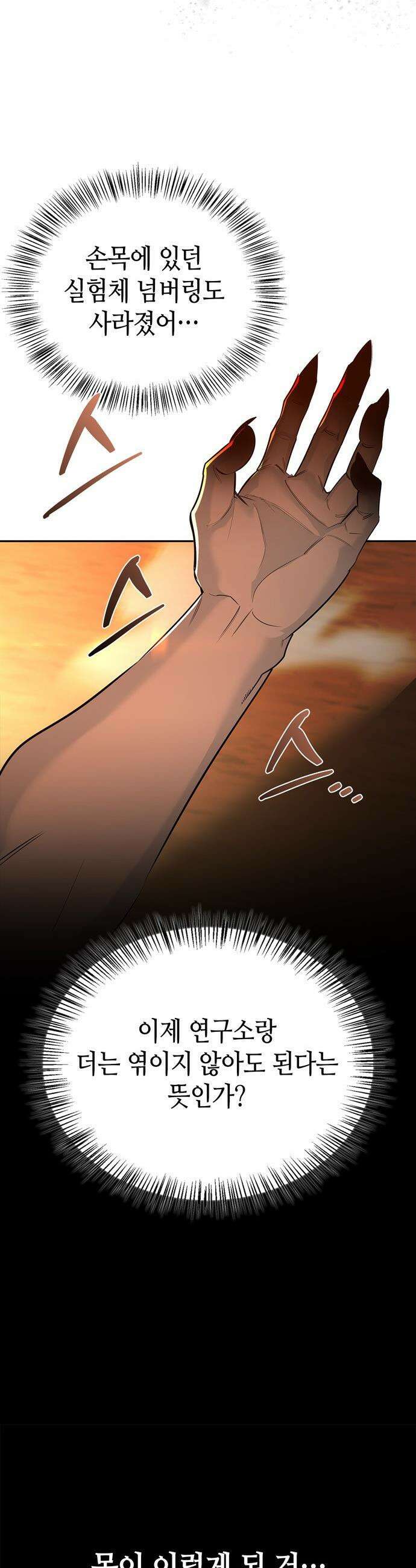 몬스터와 힐링하는 S급 헌터 - 2화 : 문명 없는 세상 3