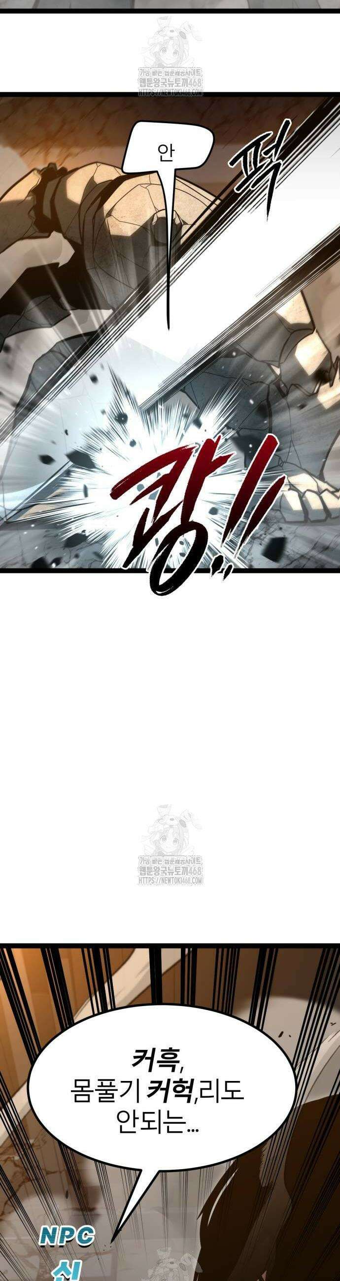 레벨999 고블린 11화 12