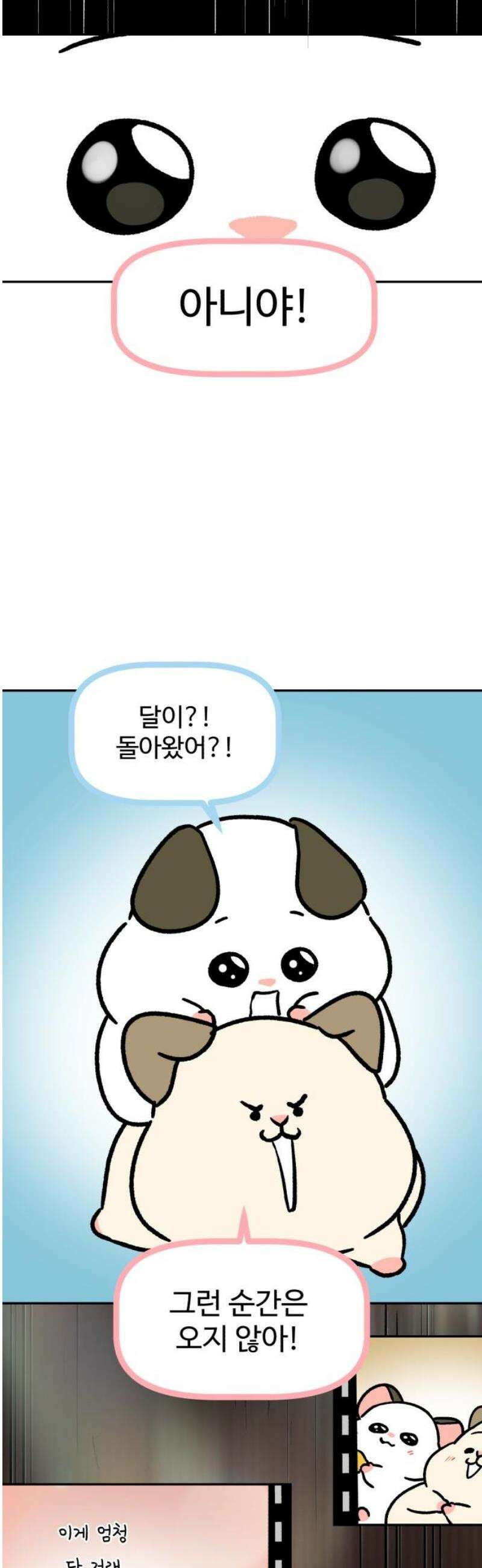 옹달샘 프로젝트 18화 따로카드 5