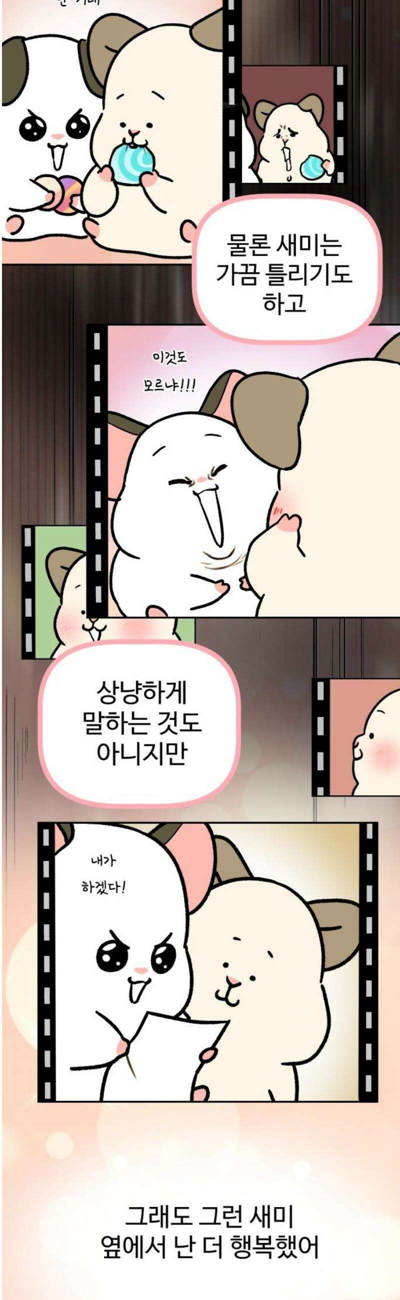 옹달샘 프로젝트 18화 따로카드 6