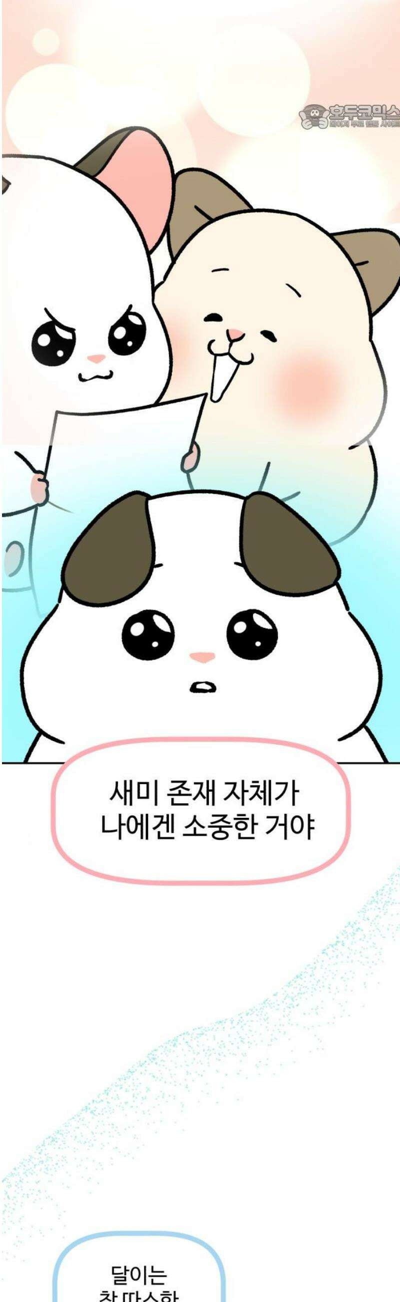 옹달샘 프로젝트 18화 따로카드 7