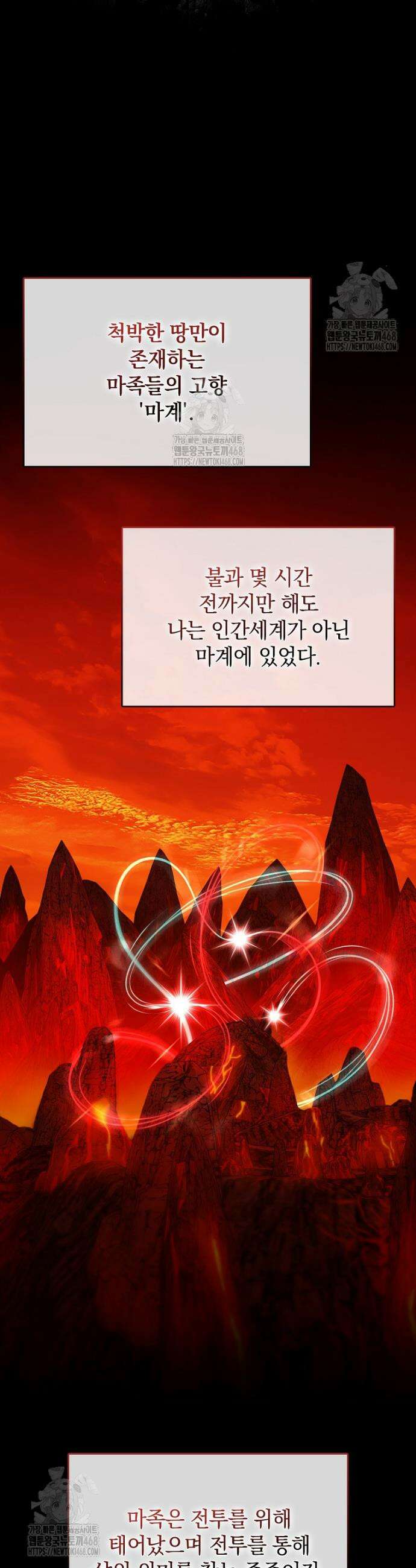 만렙 플레이어 113화 5