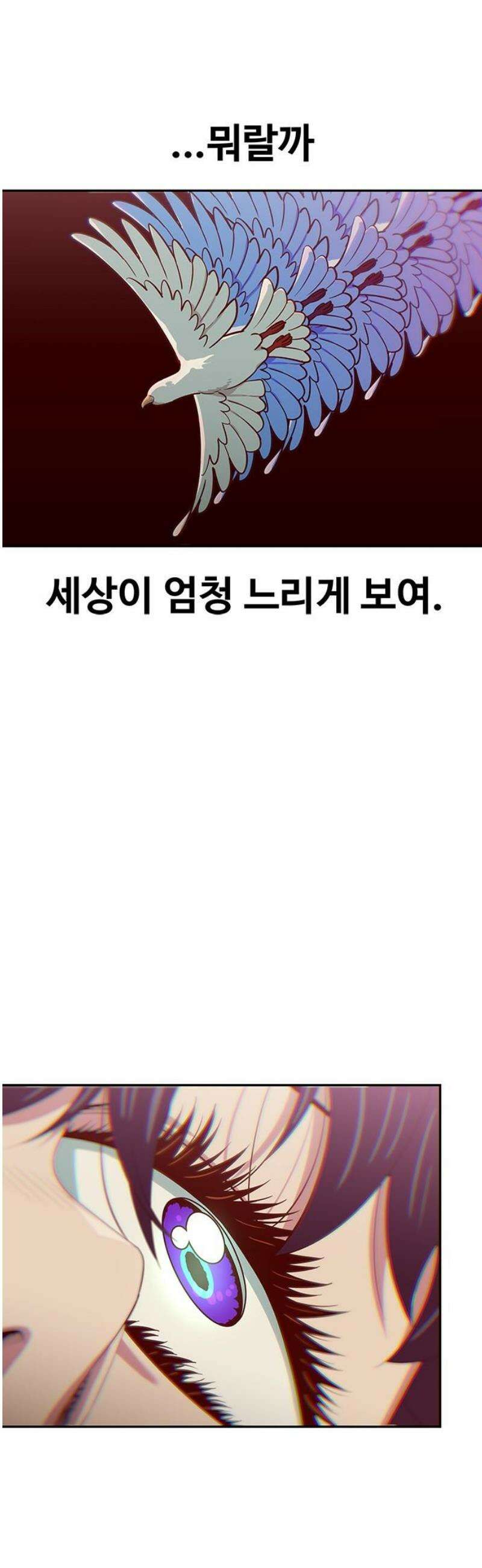 여고생이 신인데 나만 괴롭힘 57화 다른 길 14