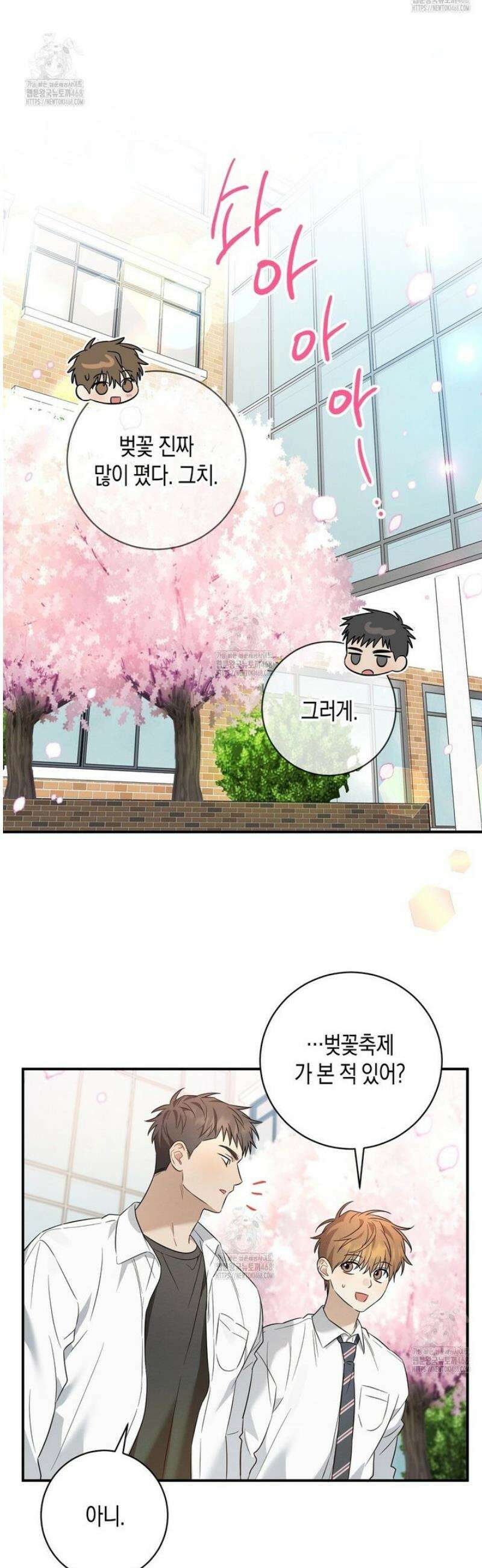 자두사탕러브 외전 1화 13